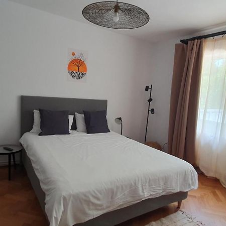 The Pines Serviced Apartments Braşov Esterno foto