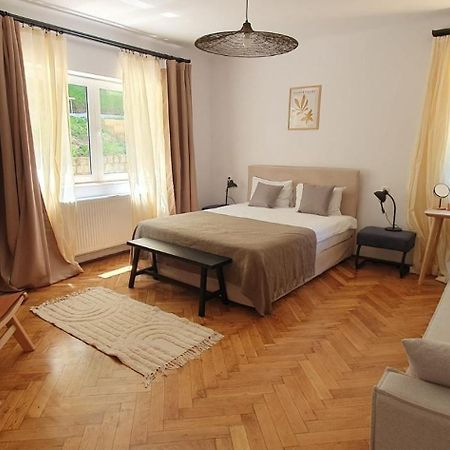 The Pines Serviced Apartments Braşov Esterno foto