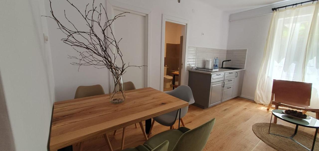 The Pines Serviced Apartments Braşov Esterno foto